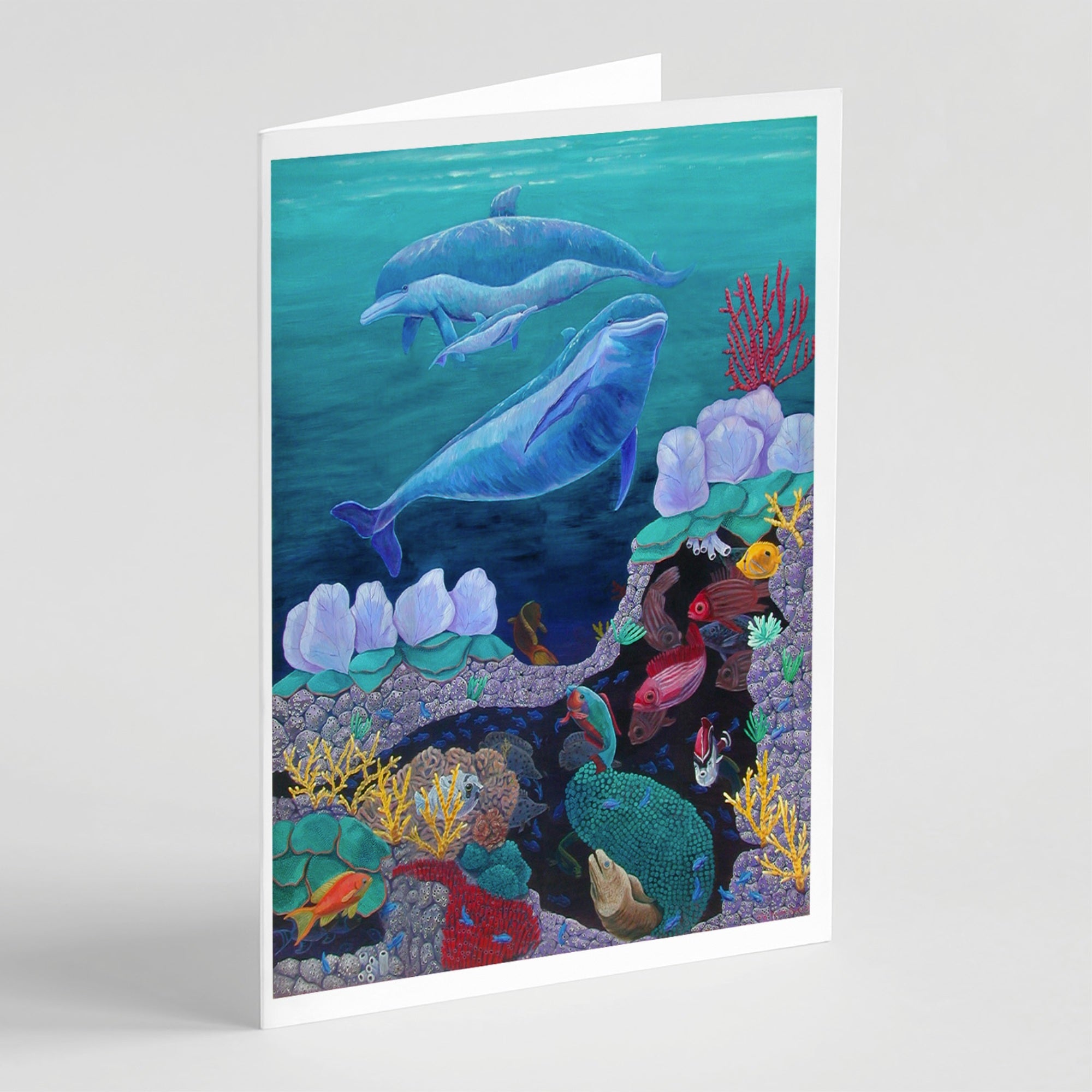 Dolphin Familty Swimming Greeting Cards And Envelopes Pack Of 8