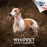 2024 2025 Whippet Calendar Dog Breed Monthly Wall Calendar 12 x 24 Open Thick NoBleed Paper Giftable Academic Teacher
