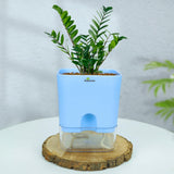 Rukonza Self Watering Planter Blue 4 Inch Pot For Indoor Plants, Pack Of 1 | Modern Self Water Pot With Clear Reservoir | Idea