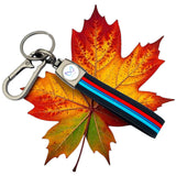 Leaf Enterprises Premium Metal Keychain And Keyring, Soft Touch Strap, Autumn Edition (Compatible With Mahindra Ev)