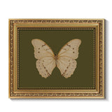 ARPEOTCY Vintage Gold Framed Wall Art, Classical White Butterfly Paintings, 8x10 inch Small Moody Green Canvas Prints with Antiq