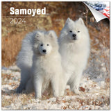 2023 2024 Samoyed Calendar Dog Breed Monthly Wall Calendar 12 x 24 Open Thick NoBleed Paper Giftable Academic Teacher