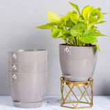 Nurturing Green Self Watering Pots For Plants, 14Cm, Set Of 4 (Mocha)