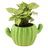 Leafy Tales Ceramic Cactus Shape Planter, Small Size Light Green, 1 Piece