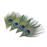 20pcs Natural Peacock Feathers Green Big Eyes Trimmed Peacock Feather for Crafting Dream Catchers Cosplay Mask Hair Decor Crafts