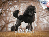 2025 2026 Poodle Calendar - Dog Breed Monthly Wall Calendar - 12 x 18 Open - Thick No-Bleed Paper - Giftable - Academic Teacher'