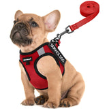 FAYOGOO Service Dog Vest for Small Breed - Lightweight Dog Harness with 6PCS Removable Patches - Puppy Harness and Leash Set for