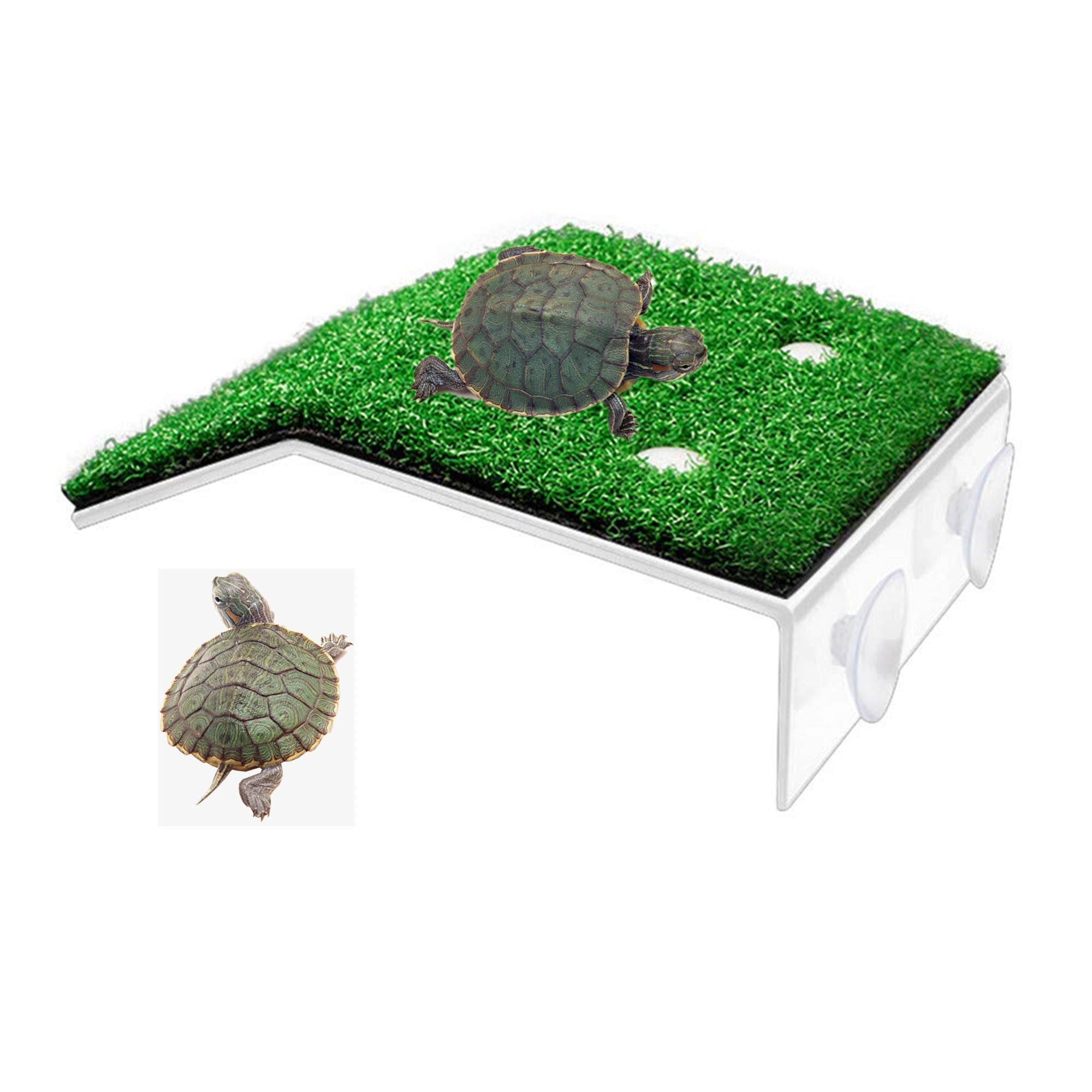 Alfyng Small Turtle Basking Platform, Tortoise Ramp Reptile Ladder Resting Terrace Fish Tank Aquarium Turtle Dock Floating D?Cor