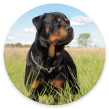 Purebred Rottweiler Round Mouse Pad,Non-Slip Rubber Base Wireless Gaming MousePads for Computers Laptop Office,Cute Mouse Pads w
