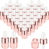 Didaey 100 Pcs Mini Glass Oil Dropper Bottle Bulk, Clear Essential Small Empty Bottles Sample Containers Perfume Liquid Vials wi