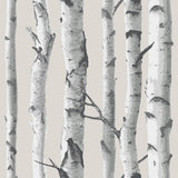 NuWallpaper NU3128 Birch Tree Peel & Stick Wallpaper, Multicolor