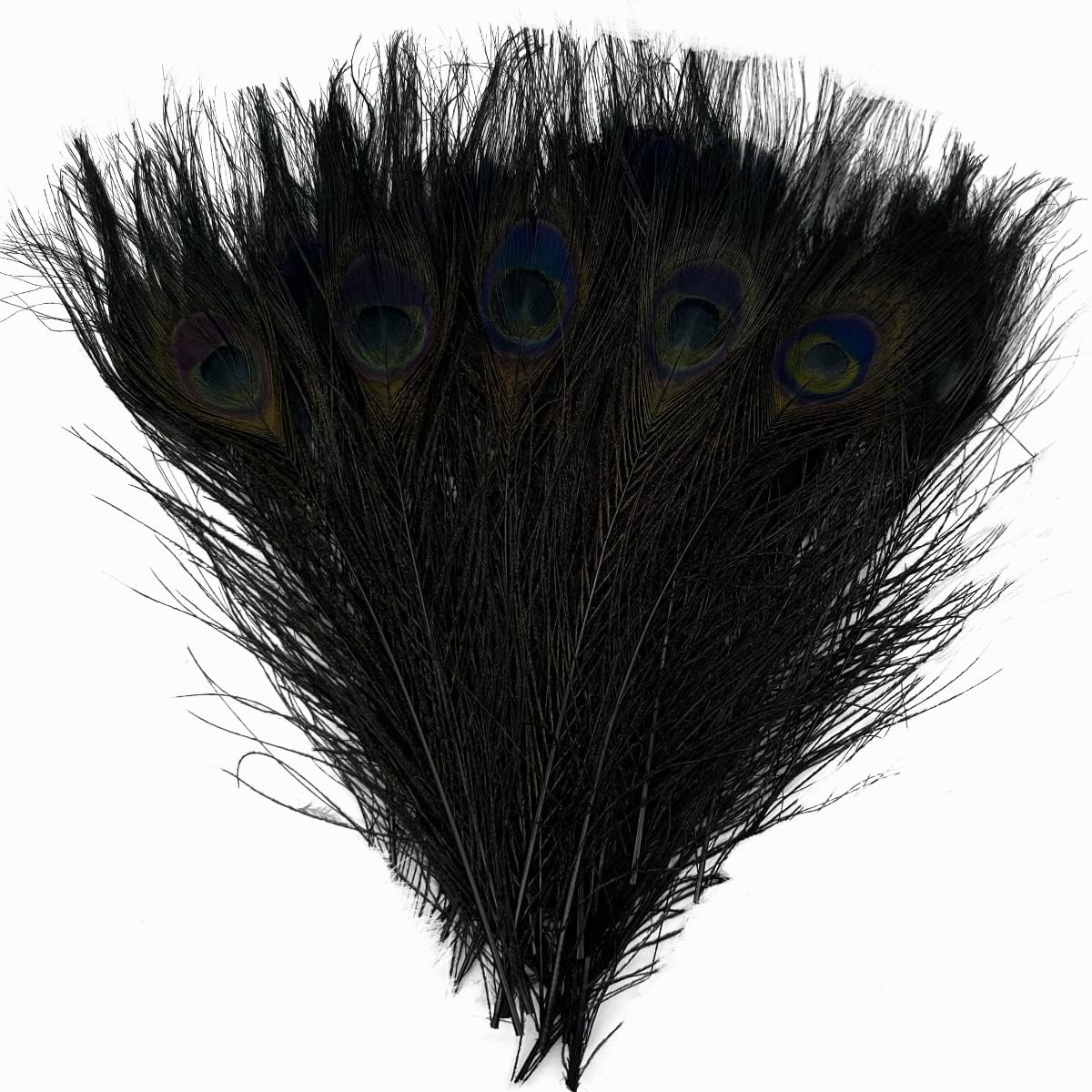20pcs Black Peacock Feathers 10-12Inch Feather for Crafts & Decoration Christmas Tree Wedding Party Ornaments Hat Costume Decor 