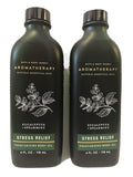 2 pack Bath and Body Works Aromatherapy Eucalyptus Spearmint Stress Relief Moisturizing Body Oil