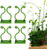Padchaaya Wall Fixture Clips Plant Climbing Plant Fixer SelfAdhesive Hook Plant Vine Traction Invisible Wall Vines Fixture Wall
