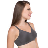 Trylo Minimizer 36 Grey E - Cup,GREY,36,B0BY246ZJR
