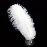 Happy Feather 16-18 inch White Ostrich Feathers Craft for Wedding Party centerpieces Home Decoration DIY Craft Pack of 5
