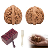 Nouysoc Wenwan Walnut, Walnuts Fidget Set, Hand Exercise Relief Tool, Wen Wan Walnuts with Polishing Brush and Storage Box, wenw