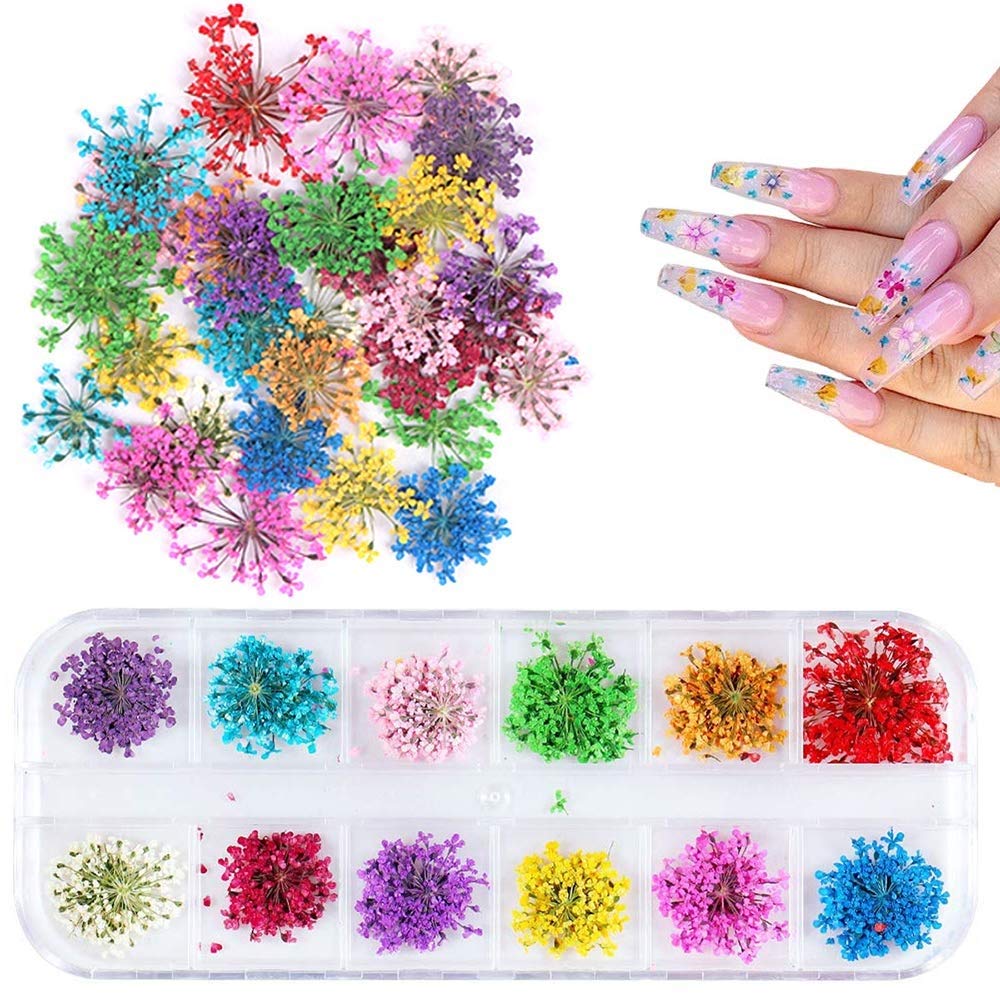 1 Box Dried Flowers for Nail Art, UNIME 12 Colors Dry Flowers Mini Real Natural Flowers Nail Art Supplies 3D Applique Nail Decor