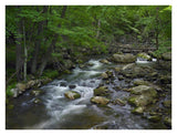 Little Stony Creek Flowing Through Jefferson National Forest, Virginia-Paper Art-34,,X26,,