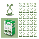 Korzystny Plant Climbing Wall Clips Support Indoor/Outdoor Vines, Creeper, Money Plant Wall Clips | Plant Clips For Climbers Su