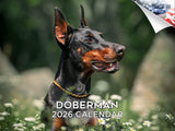 2025 2026 Doberman Calendar - Dog Breed Monthly Wall Calendar - 12 x 18 Open - Thick No-Bleed Paper - Giftable - Academic Teache