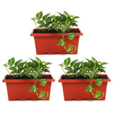 Bonkaso 17 Inch Rectangular Planter With Drainage Tray, Set Of 3|Uv Resistant Plastic Flower Pot For Balcony Railing, Window Sil