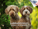 2025 2026 Labradoodle Calendar - Dog Breed Monthly Wall Calendar - 12 x 18 Open - Thick No-Bleed Paper - Giftable - Academic Tea