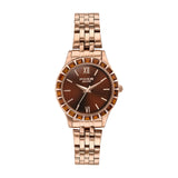 Sonata Poze 6 Sidewalk Sparkle Ladies Quartz Chocolate Round Dial Women'S Watch | Stainless Steel Strap Material | Watches For W