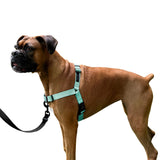 ShawnCo Dream Walk No-Pull Dog Harness- Adjustable, Comfortable, Easy to Use Pet Halter to Help Stop Pulling for Small, Medium a