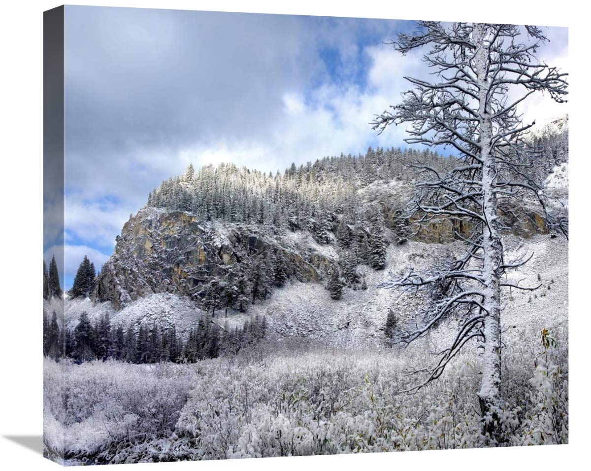 Light Snow Covering Boulder Mountains, Idaho-Canvas Art-22X19.36