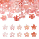 Craftdady 50Pcs Pink Sakura Resin Flower Spacer Bead Caps 5 Colors Cherry Blossom Floral Charms Cute Plant Bead End Caps for Wom