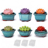 Yuemucao Set Of 6 Glazed Ceramic Succulent Pots, 3 & 4 Inch Small Plant Pots With Drainage Holes Raised Feet & 6 Mesh Pads, Deco