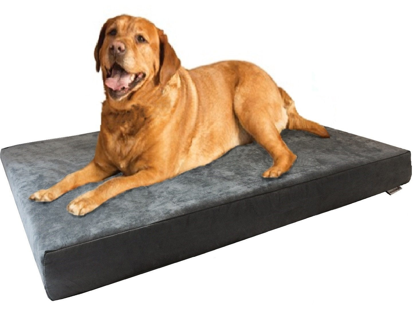 Dogbed4less XL Orthopedic Memory Foam Dog Bed with Machine Washable Cover, Waterproof Lining for Medium to Large Pet, 47X29X4 Pa