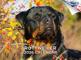 2025 2026 Rottweiler Calendar - Dog Breed Monthly Wall Calendar - 12 x 18 Open - Thick No-Bleed Paper - Giftable - Academic Teac