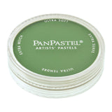 PanPastel 26605 Ultra Soft Artist Pastel, Chromium Oxide Green, 660.5