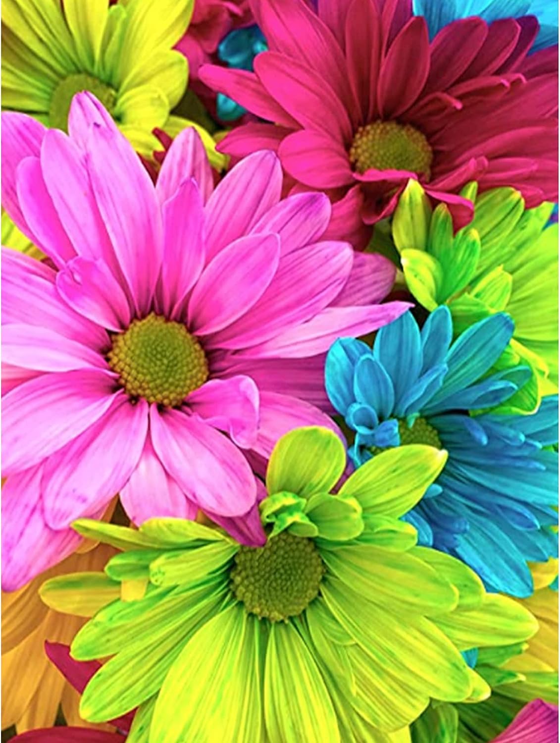 5D Diamond Art Painting Kits Flowers for Adults,Colorful Daisy DIY Diamond Art Full Round Diamond Drill,Gebera Daisy Painting wi