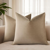JUSPURBET Decorative Velvet Throw Pillow Covers 20x20 Set of 2,Stone