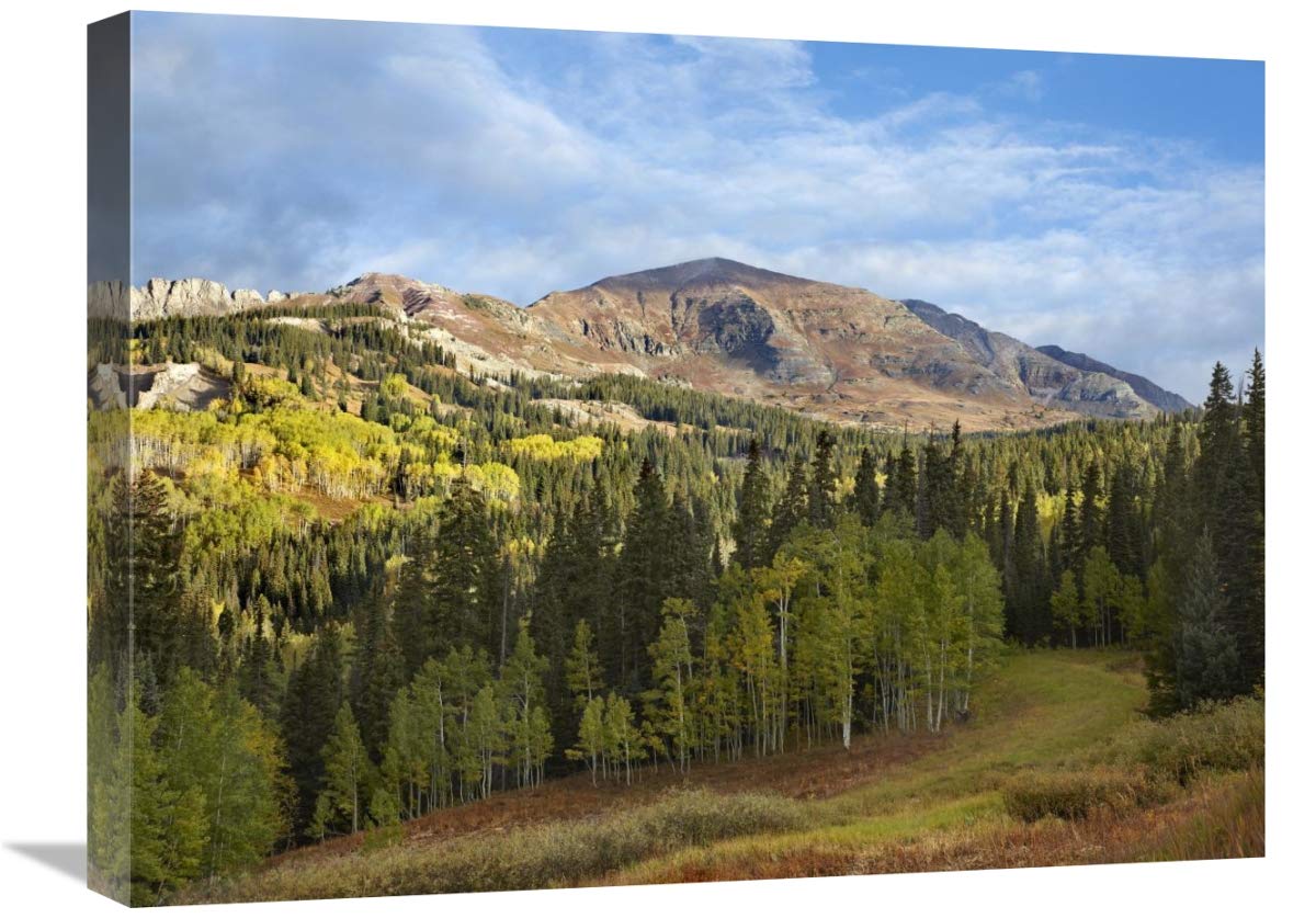 Ruby Peak Near Crested Butte, Colorado-Canvas Art-24X18