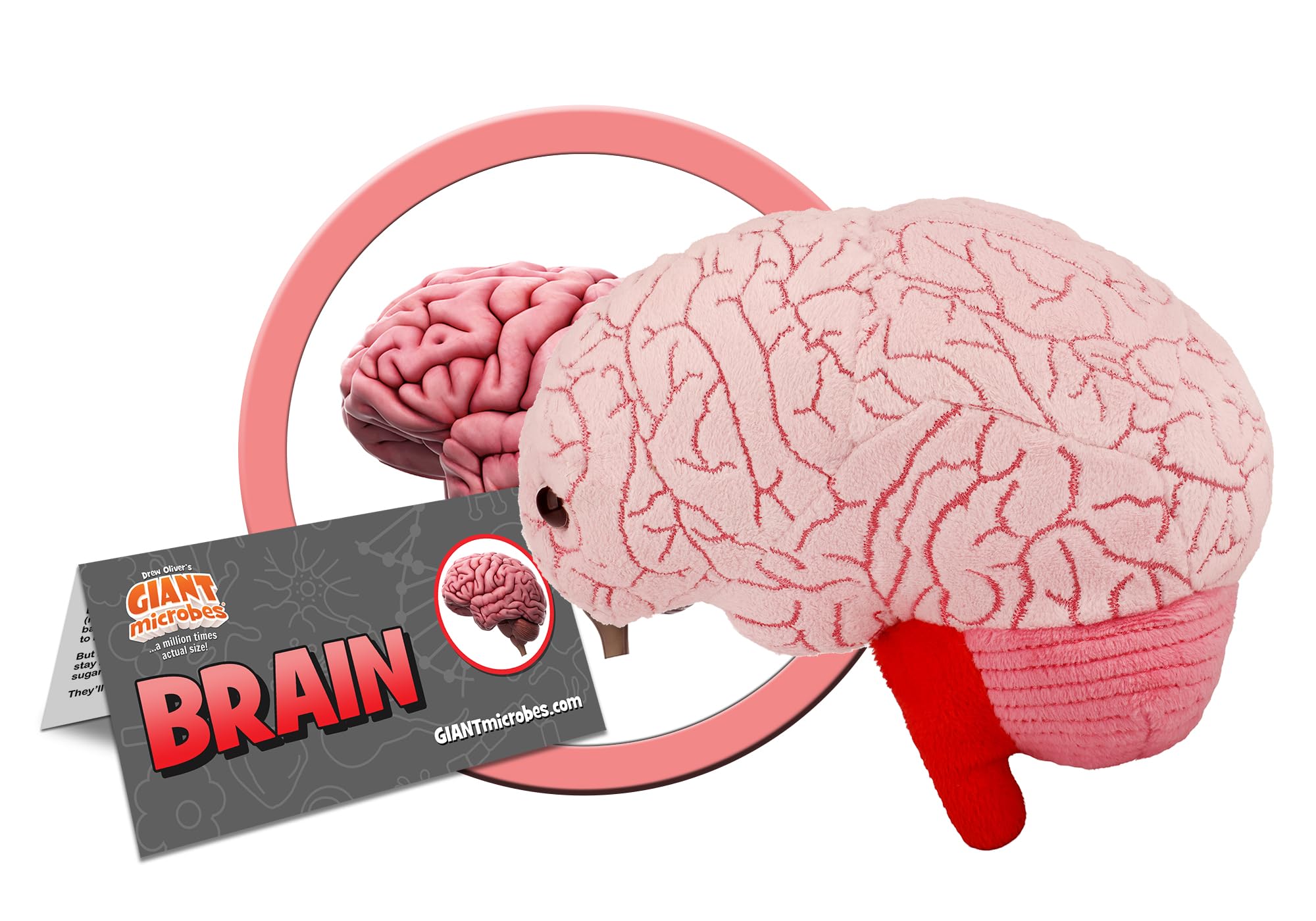 GIANTmicrobes Brain Plush, Brain Toy, Brain Stuffed Animal, Brain Gifts For Neurologist, Brain Surgery Recovery Gifts, Neurology