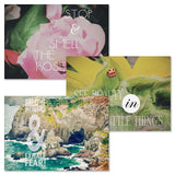 Current Photo Inspirations Thinking of You Friendship Greeting Card Set - Value Pack of 20 Cards With White Envelopes for Friend