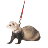Marshall Ferret Harness and Lead Set - 48 - Red Color - Adjustable 3/8 Flat Nylon with Quick-Snap Buckles - Escape-Resistant Des
