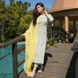 Gosriki Women'S Cotton Blend Straight Kurta With Pant & Dupatta (Murhar-Yellow_Xl-Go_Yellow_X-Large),Yellow,,B09WD8WGDN