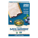 Nature's Path Organic Toaster Pastries, Frosted Buncha Blueberries, 72 Count (Pack of 12, 11 Oz Boxes), Made From Real Blueberri