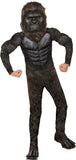InSpirit Designs Godzilla vs. Kong Kids King Kong Costume | Officially Licensed | Theatrical Outfit | Small
