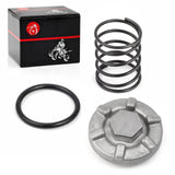 Oil Drain Plug & Oring & Spring Compatible with YAMAHA Raptor 350 Warrior 350 Big Bear 350 400 Grizzly 400 450 600 Kodiak 400 45