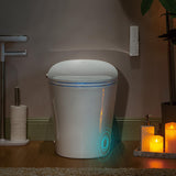 WOODBRIDGE LT610 One Piece Elongated Smart Toilet Bidet with Massage Washing, Auto Open and Close Seat and Lid, Auto Flush, Heat