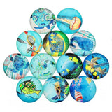 Enakshi 20 Pieces Sea World Style Multifunction Flatback Fridge Magnet Glass Cabochons Floral Dome Flat Back Scrapbook Decors 12