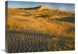 Kelso Dunes And Grasses, Mojave National Preserve, California-Canvas Art-24X18