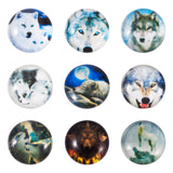 Craftdady 50Pcs Wolf Wild Animal Printed Flatback Glass Cabochons 12mm Half Round Cameo Glass Dome Cabochons Mixed Colors for Cr
