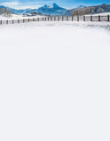 Great Papers! Winter Fence Letterhead, 80 count, 11 x 8.5 (2017021)